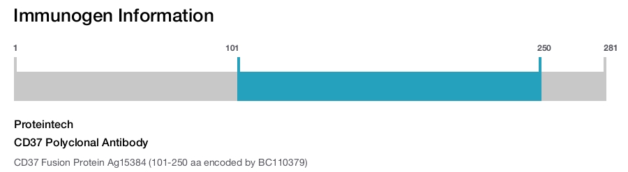 CD37 Polyclonal Antibody