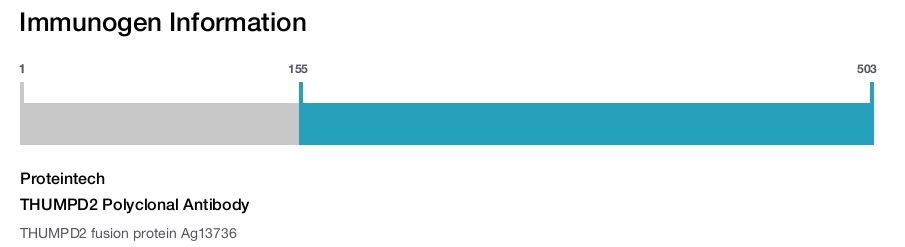 THUMPD2 Polyclonal Antibody