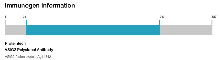VSIG2 Polyclonal Antibody