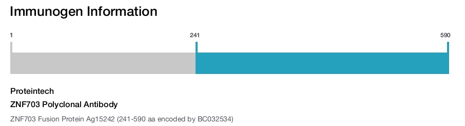 ZNF703 Polyclonal Antibody