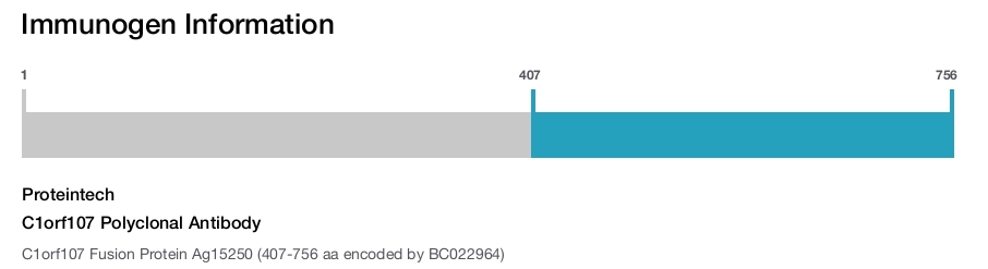 C1orf107 Polyclonal Antibody