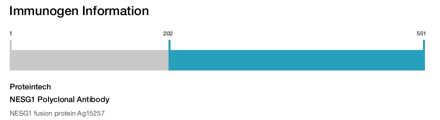 NESG1 Polyclonal Antibody
