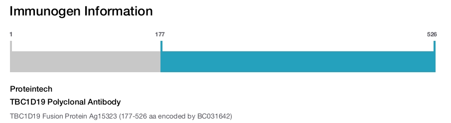 TBC1D19 Polyclonal Antibody
