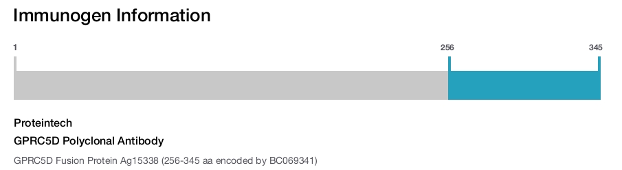 GPRC5D Polyclonal Antibody
