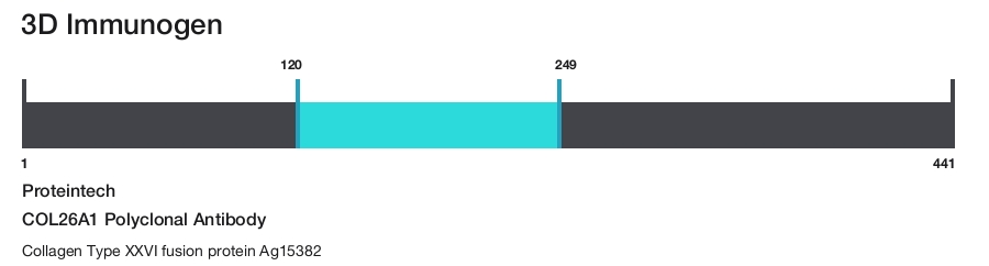 COL26A1 Polyclonal Antibody