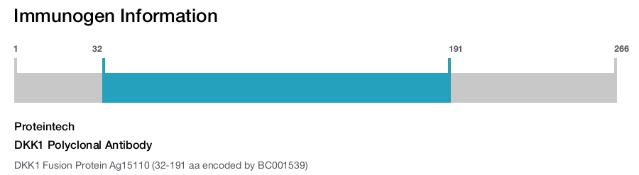 DKK1 Polyclonal Antibody