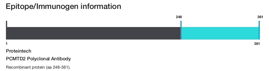 PCMTD2 Polyclonal Antibody