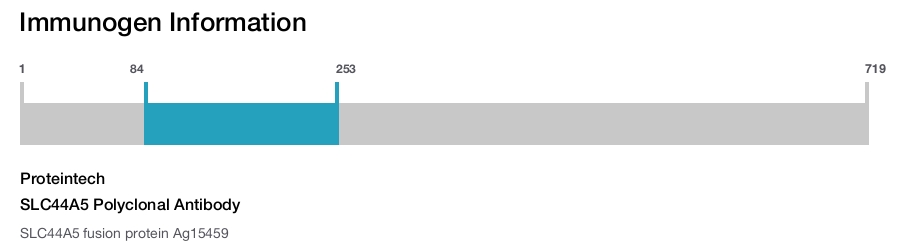 SLC44A5 Polyclonal Antibody