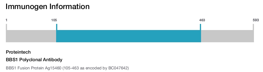 BBS1 Polyclonal Antibody