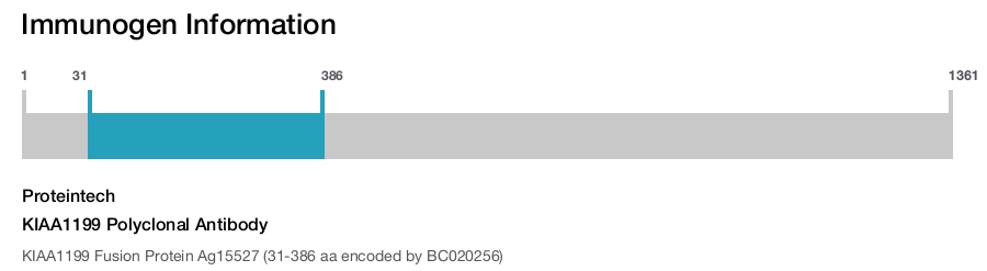 KIAA1199 Polyclonal Antibody