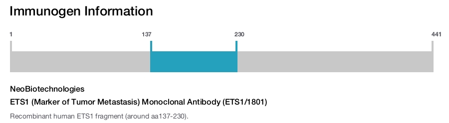 ETS1 (Marker of Tumor Metastasis) Monoclonal Antibody (ETS1/1801)