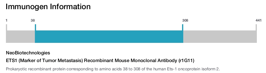 ETS1 (Marker of Tumor Metastasis) Recombinant Mouse Monoclonal Antibody (r1G11)