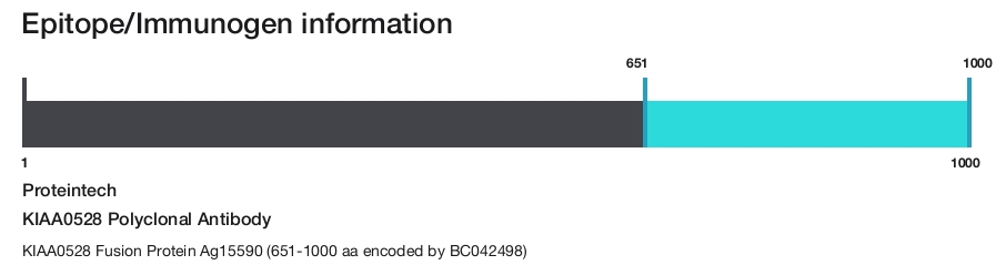 KIAA0528 Polyclonal Antibody