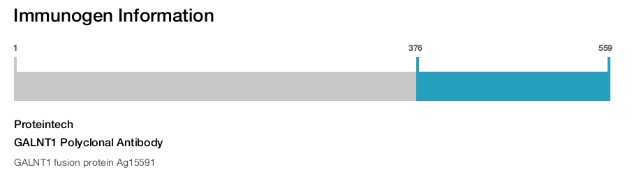 GALNT1 Polyclonal Antibody