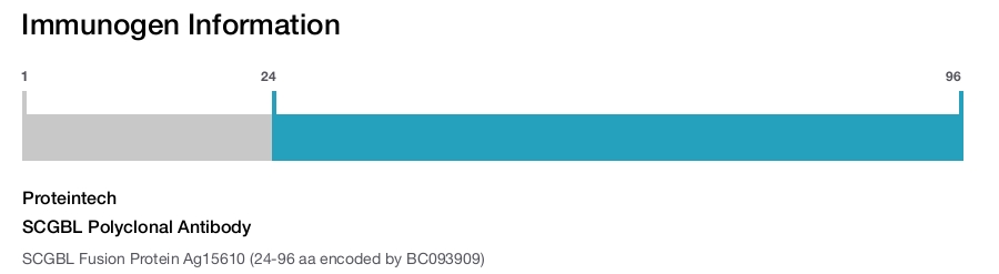 SCGBL Polyclonal Antibody