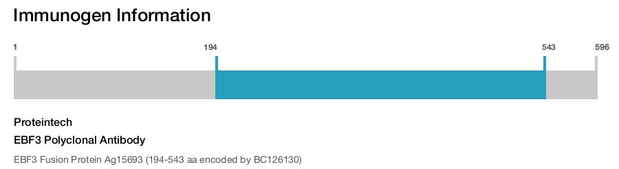 EBF3 Polyclonal Antibody