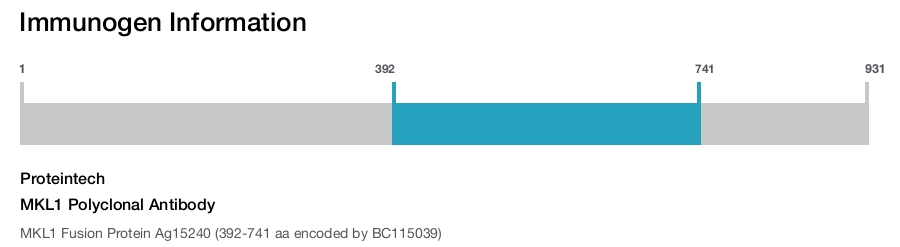 MKL1 Polyclonal Antibody