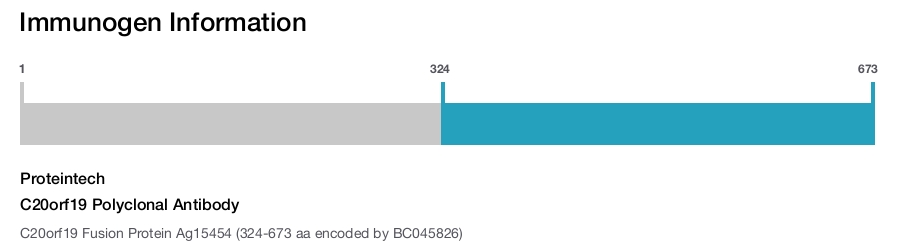 C20orf19 Polyclonal Antibody