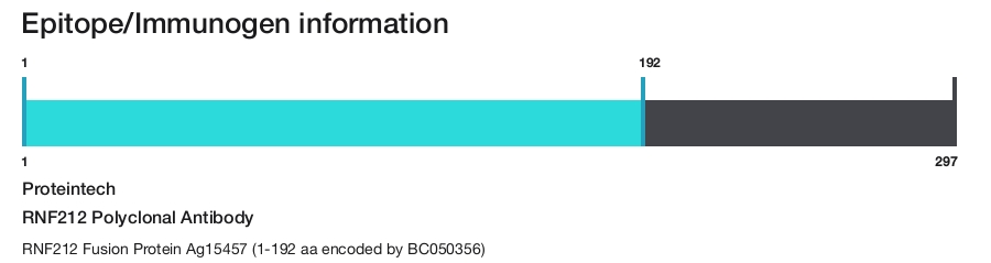RNF212 Polyclonal Antibody