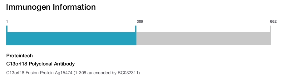 C13orf18 Polyclonal Antibody