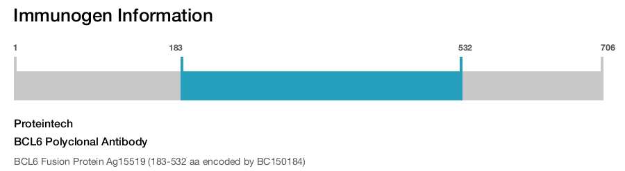 BCL6 Polyclonal Antibody