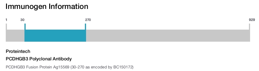 PCDHGB3 Polyclonal Antibody
