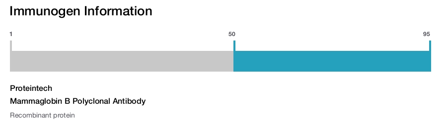 Mammaglobin B Polyclonal Antibody