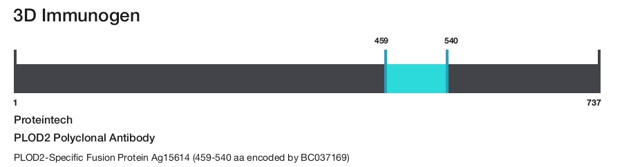 PLOD2 Polyclonal Antibody