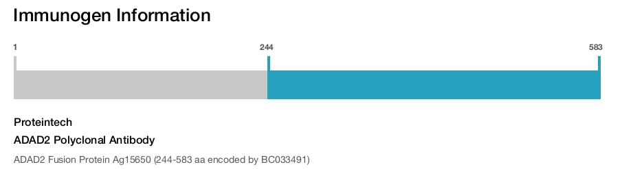 ADAD2 Polyclonal Antibody