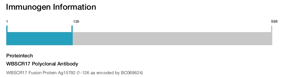 WBSCR17 Polyclonal Antibody