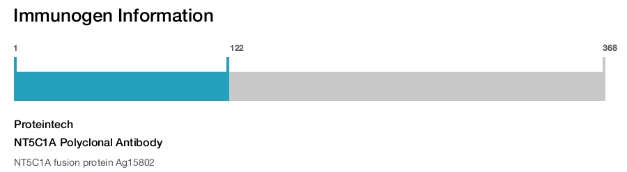 NT5C1A Polyclonal Antibody