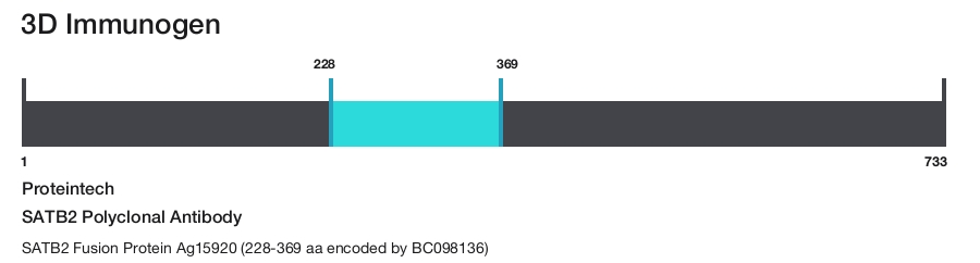 SATB2 Polyclonal Antibody
