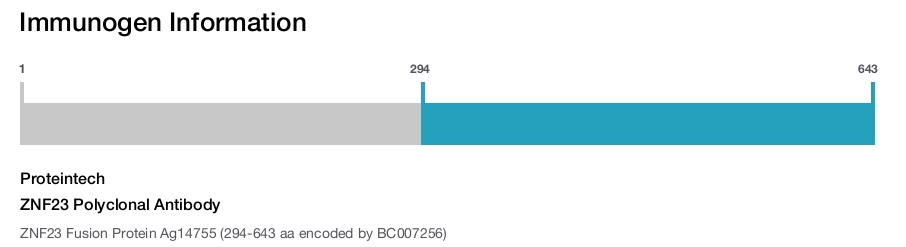 ZNF23 Polyclonal Antibody