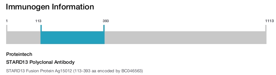 STARD13 Polyclonal Antibody