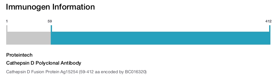 Cathepsin D Polyclonal Antibody