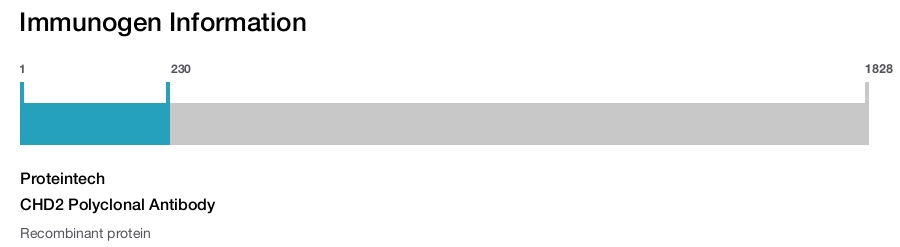 CHD2 Polyclonal Antibody
