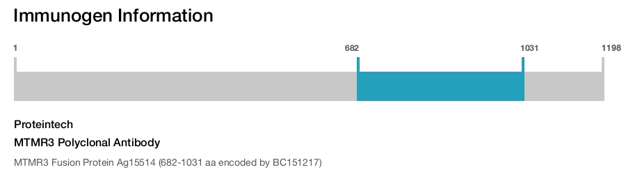 MTMR3 Polyclonal Antibody