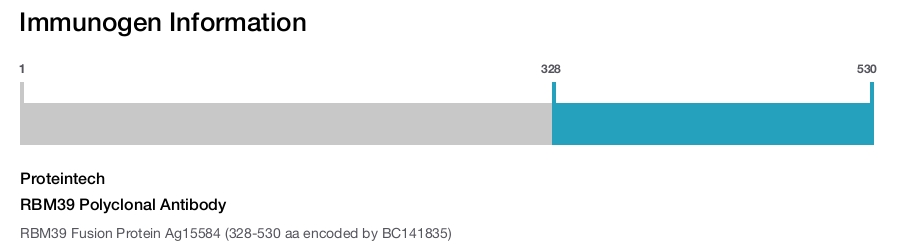 RBM39 Polyclonal Antibody