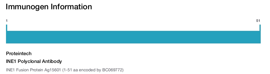 INE1 Polyclonal Antibody