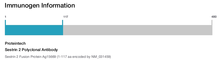 Sestrin 2 Polyclonal Antibody