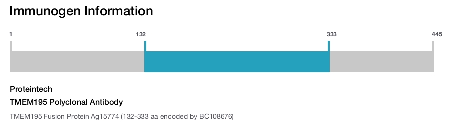 TMEM195 Polyclonal Antibody