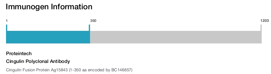 Cingulin Polyclonal Antibody