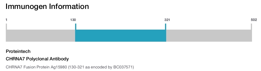 CHRNA7 Polyclonal Antibody