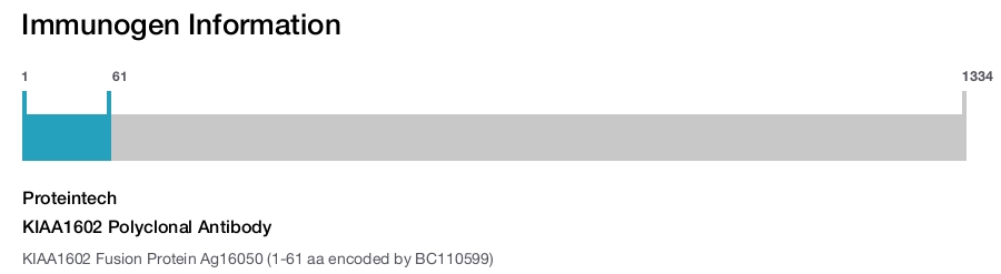 KIAA1602 Polyclonal Antibody