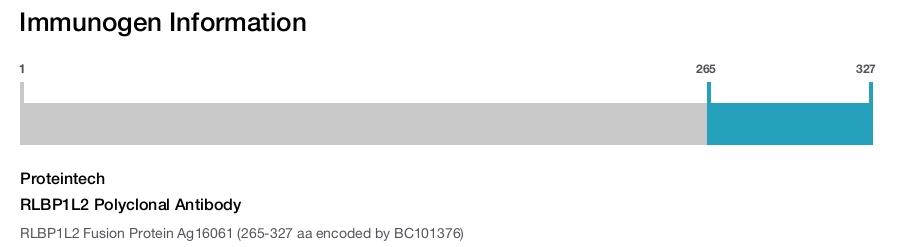 RLBP1L2 Polyclonal Antibody