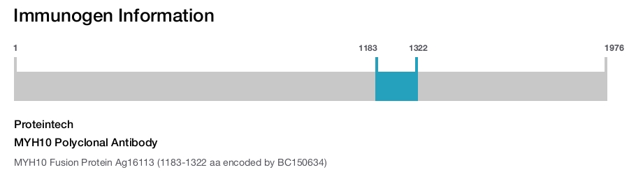 MYH10 Polyclonal Antibody