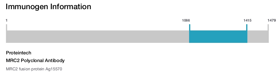 MRC2 Polyclonal Antibody