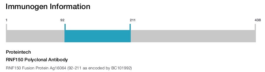 RNF150 Polyclonal Antibody
