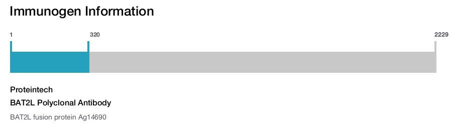 BAT2L Polyclonal Antibody