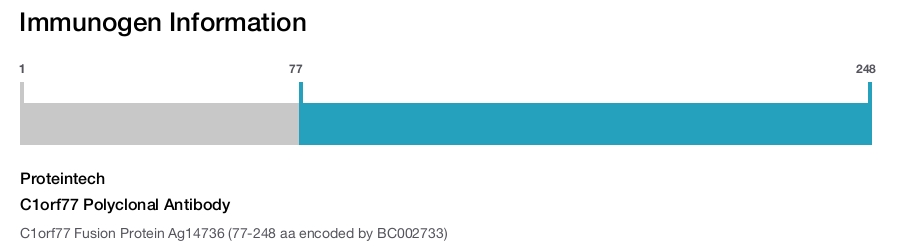 C1orf77 Polyclonal Antibody